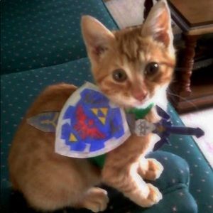 Meet your Posher, Ava